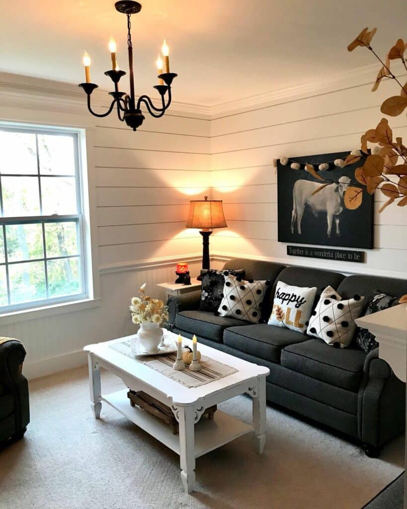 Black and White Living Room With Accent Pillows and Shiplap Paneling