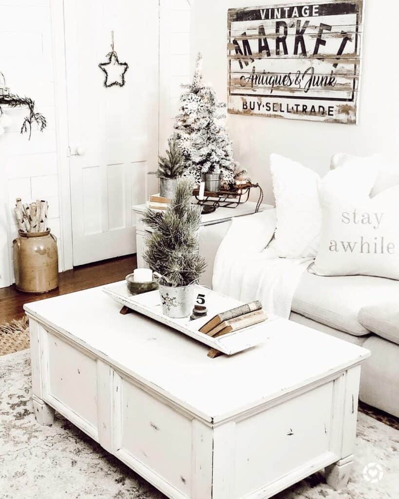 Books and a Small Pine Tree on a White Tray