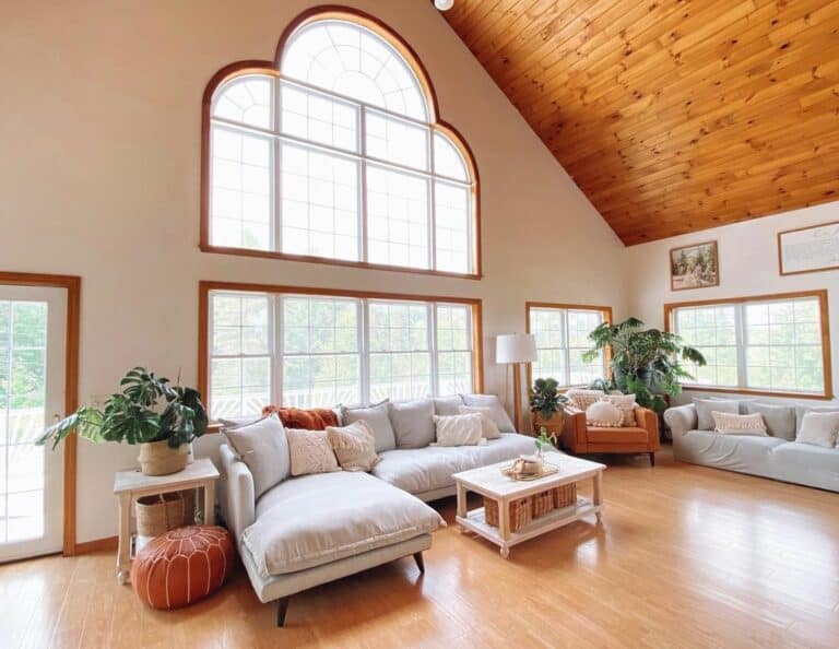 Brown Living Room With Cathedral Ceiling