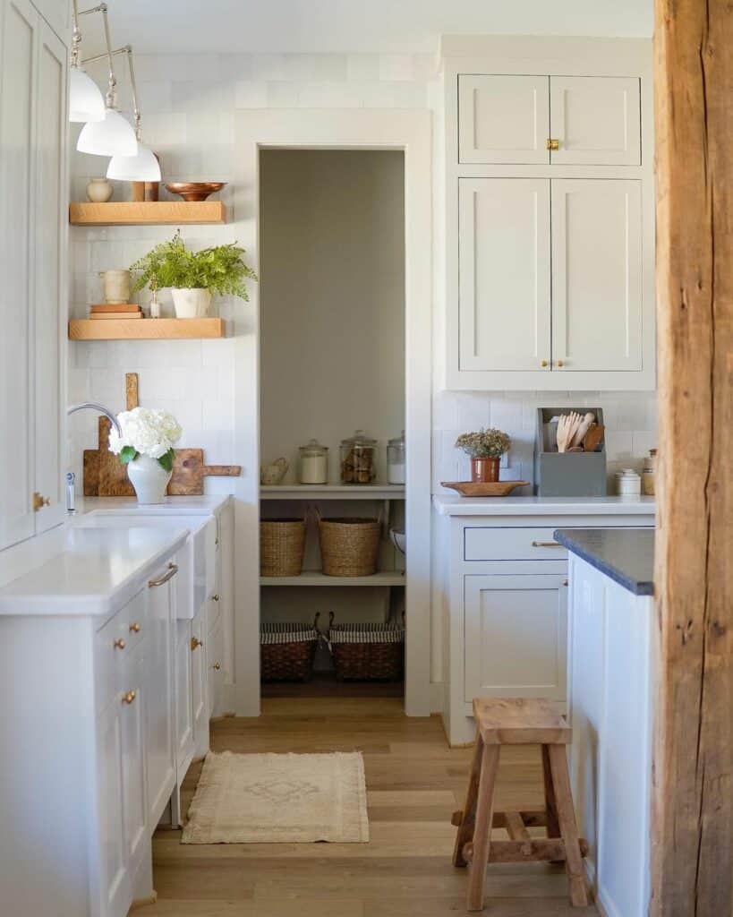 Clean White Pantry with Lower Shelves
