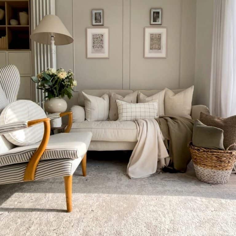 Contemporary Living Room With Plush Cream Couch