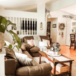 Cozy Brown Living Room Ideas