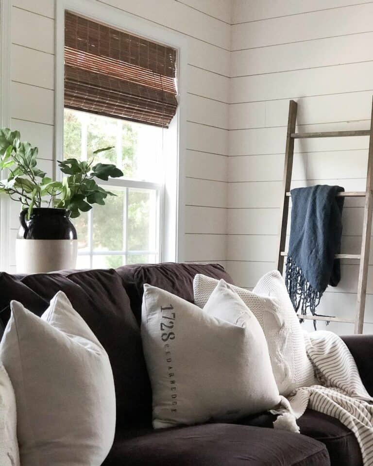 Cozy and Natural Living Room with Blanket Ladder