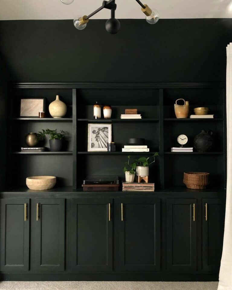 Deep Green Built-in Shelves With Brass Hardware