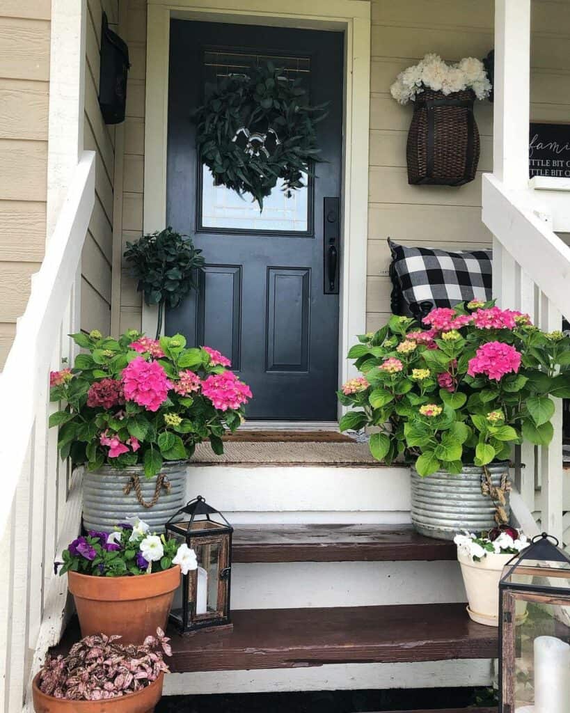 Hydrangeas on Front Porch Steps
