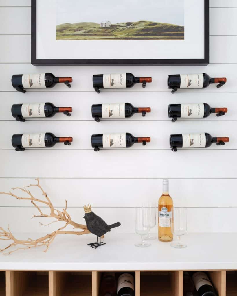Ideas for Wall-mounted Wine Racks