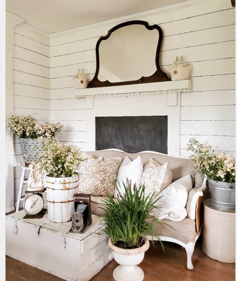 Large Ornate Mirror with Shiplap Walls