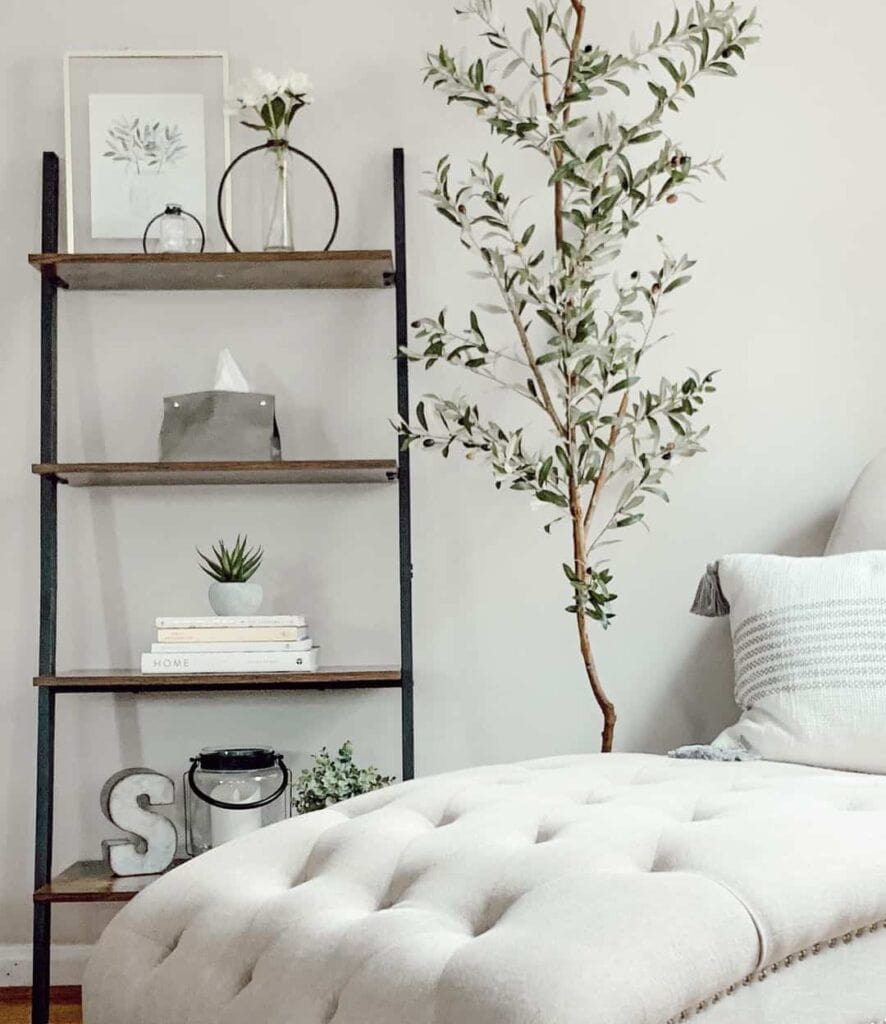 Minimalist Bookshelf With Neutral Décor