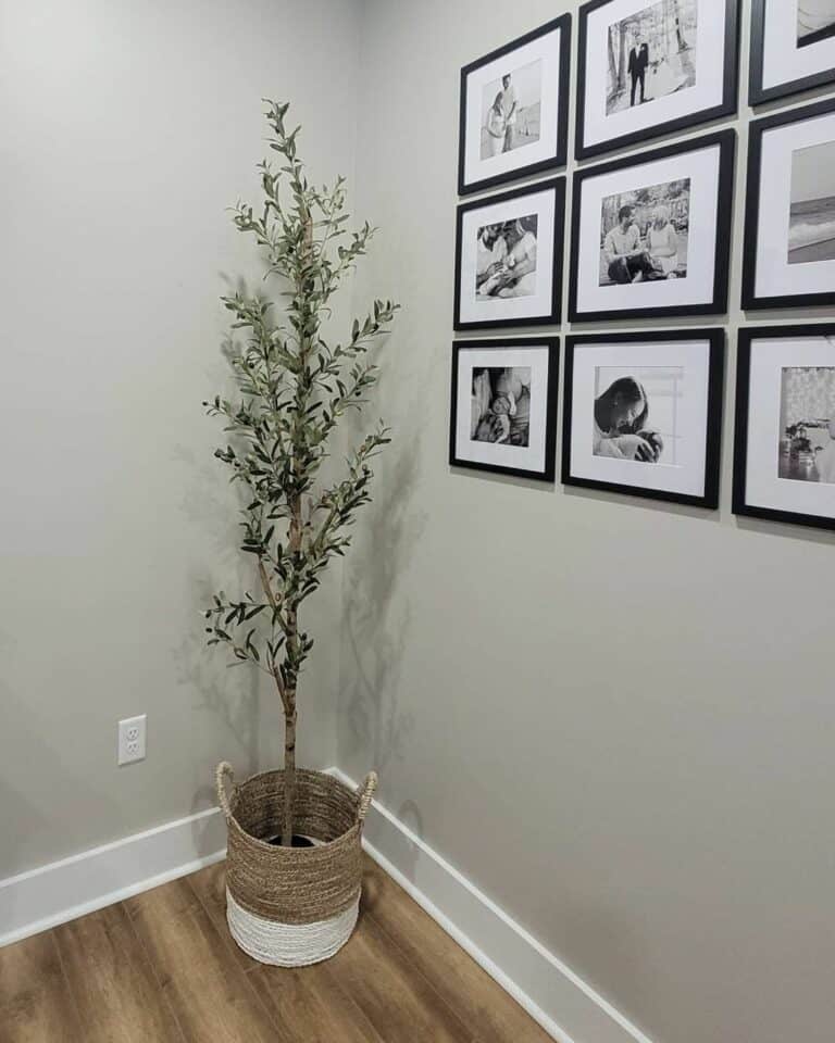 Minimalist Corner Gallery Wall