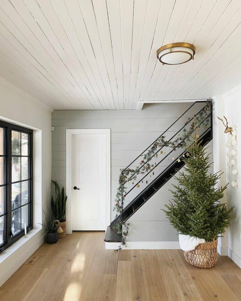 Modern Black Decorated Railing