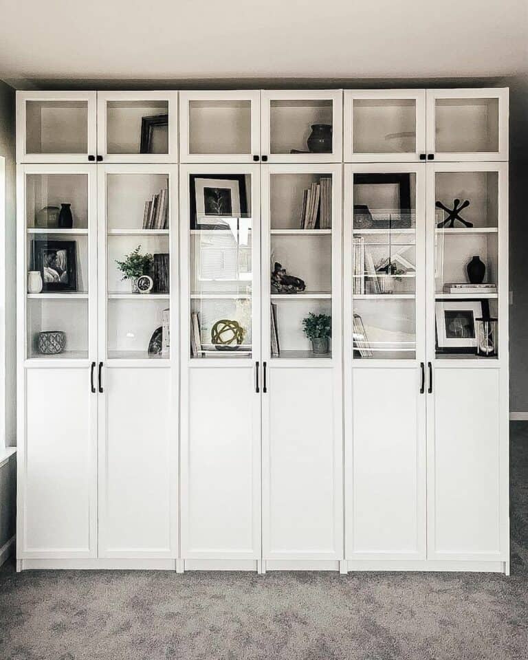 Modern White Cabinets with Glass Doors