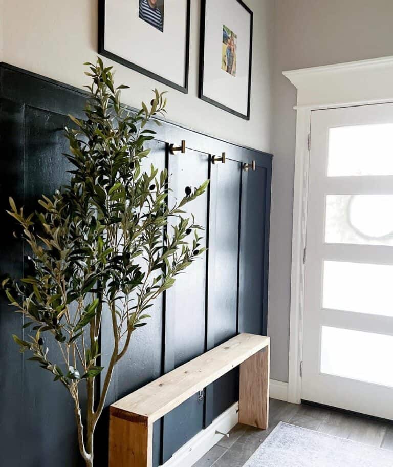 Navy Blue Entryway Wall Idea