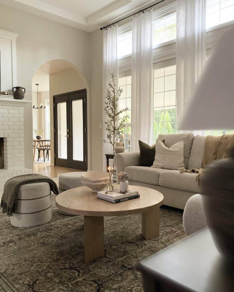 Neutral Brown and Beige Living Room