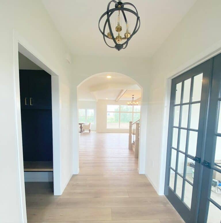 Neutral Open Layout Foyer and Living Room