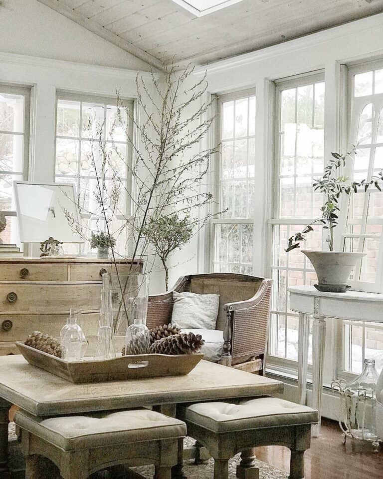 Oversized Pine Cones on a Large Coffee Table Tray