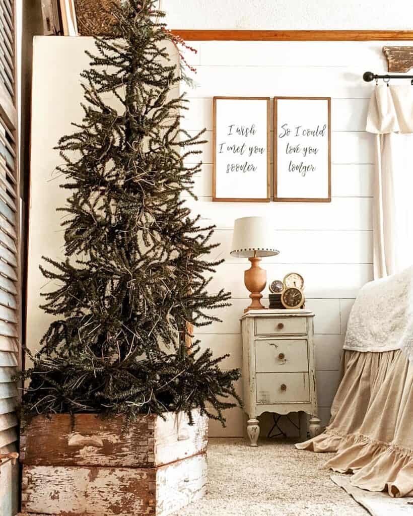 Pine Tree in a Rustic White Double Box Stand