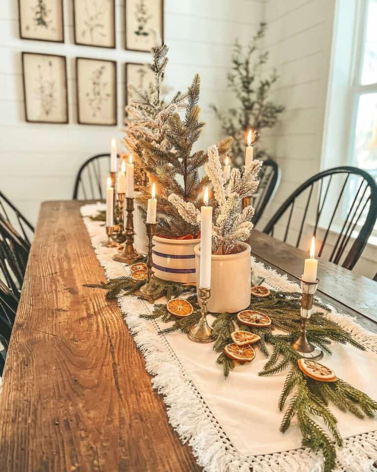 Pine and Orange Slices for Table Décor