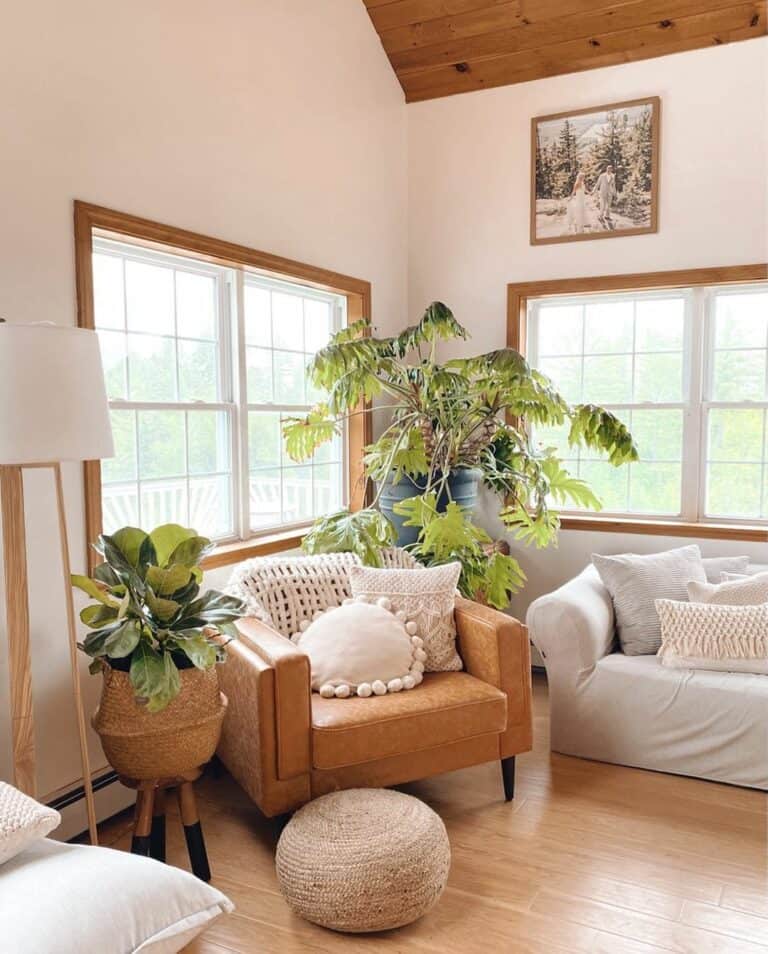Plants in a Living Room Corner With Windows