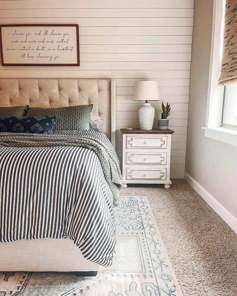 Plush Neutral Carpet Idea in Bedroom