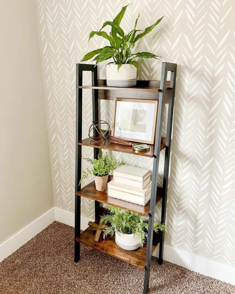 Simple Organic Décor Ideas for a Modern Bookshelf