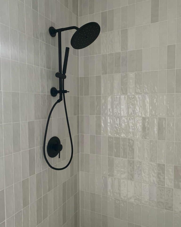 Sleek and Sophisticated Shower