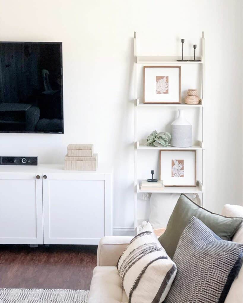 TV Screen Next to Ladder Shelf