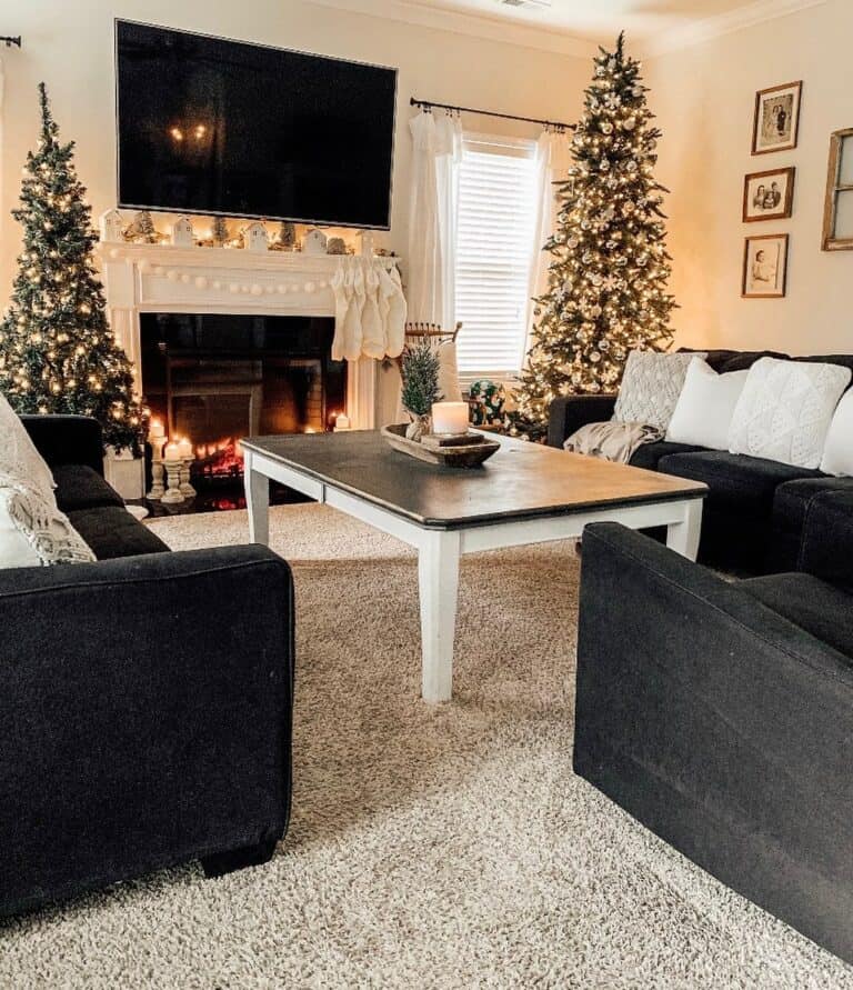 Tiny Live Pine Tree and Two Christmas Trees
