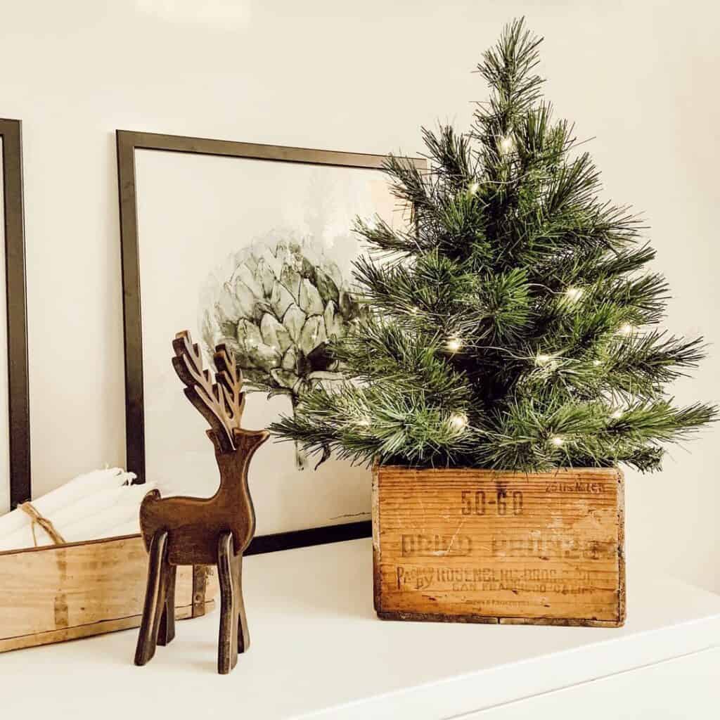 Tiny Tree in a Vintage Wooden Box