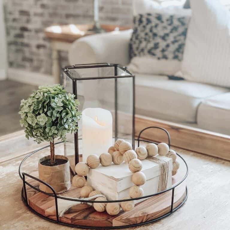 Tiny Tree on a Circular Black and Wood Tray