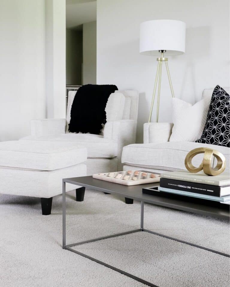 White Living Room With Black Accents