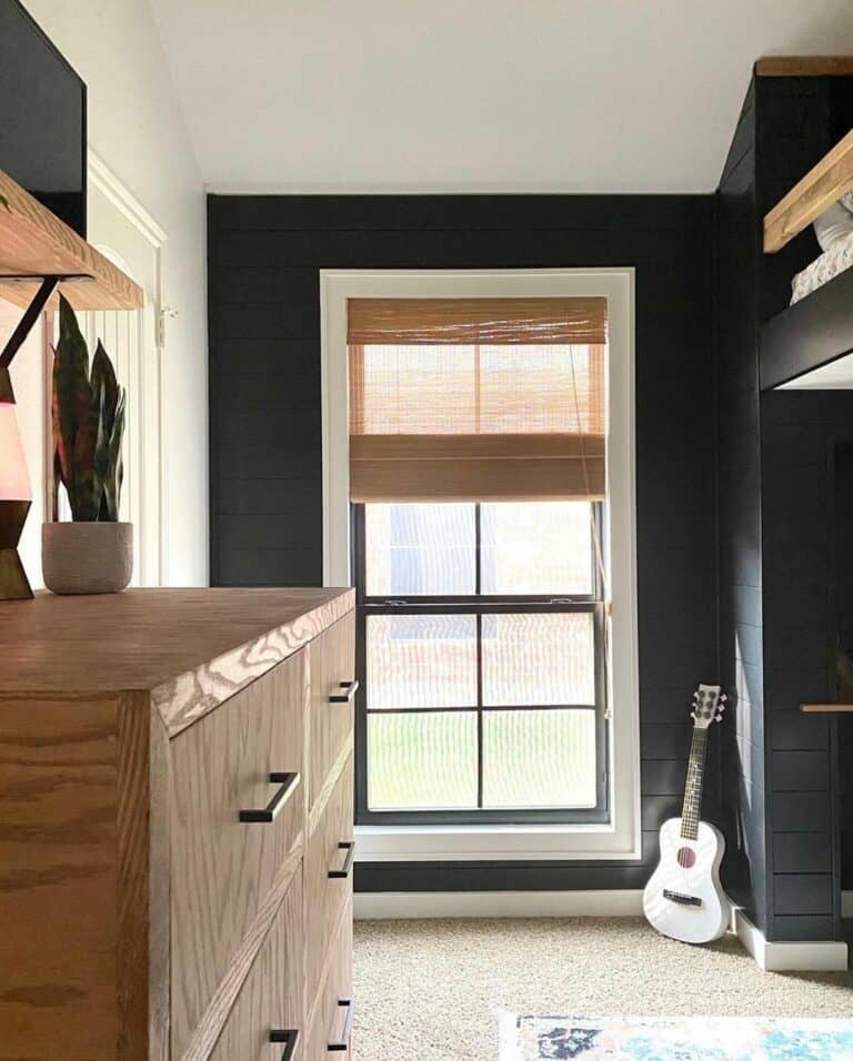 White Window Trim With Black Window Casing