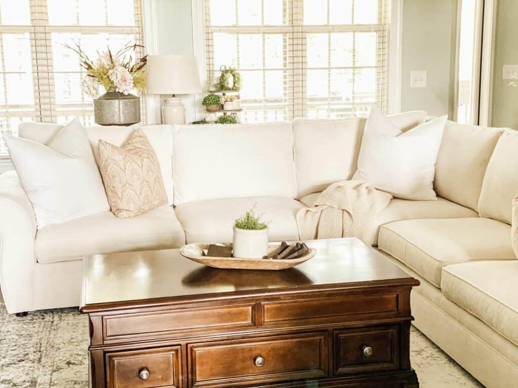 White and Brown Living Room Ideas