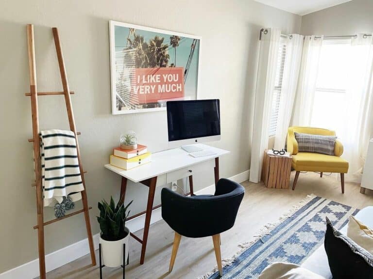 Accent Chairs in Varying Colors