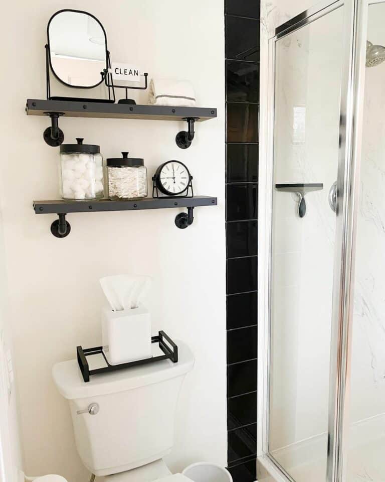 Aesthetically Pleasing Shelves Near Shower