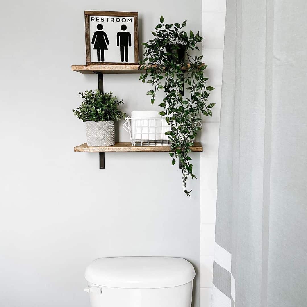 28 Thriving Plant Shelf Ideas for a Greener Space