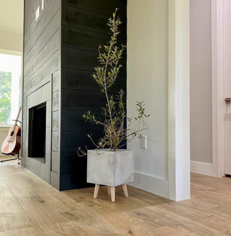 Black Shiplap Fireplace Wall