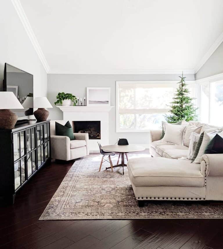 Black and Beige Living Room Décor With Grey Rugs