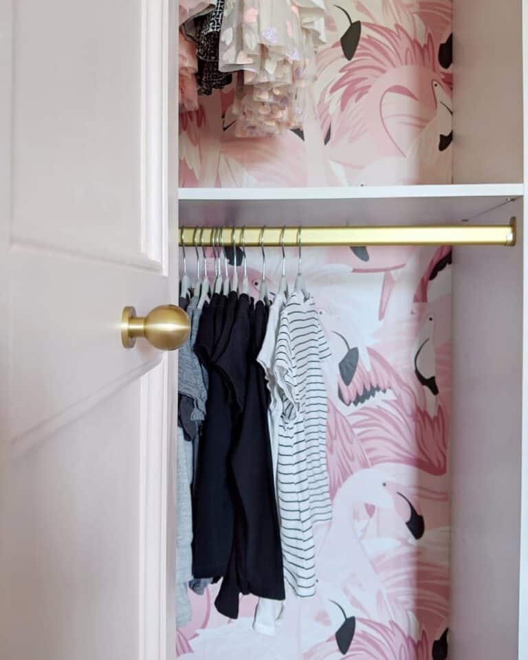 Bold and Stylist Closet Design