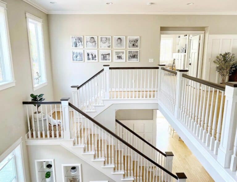 Bright Modern Staircase With Dark Wood Handrails