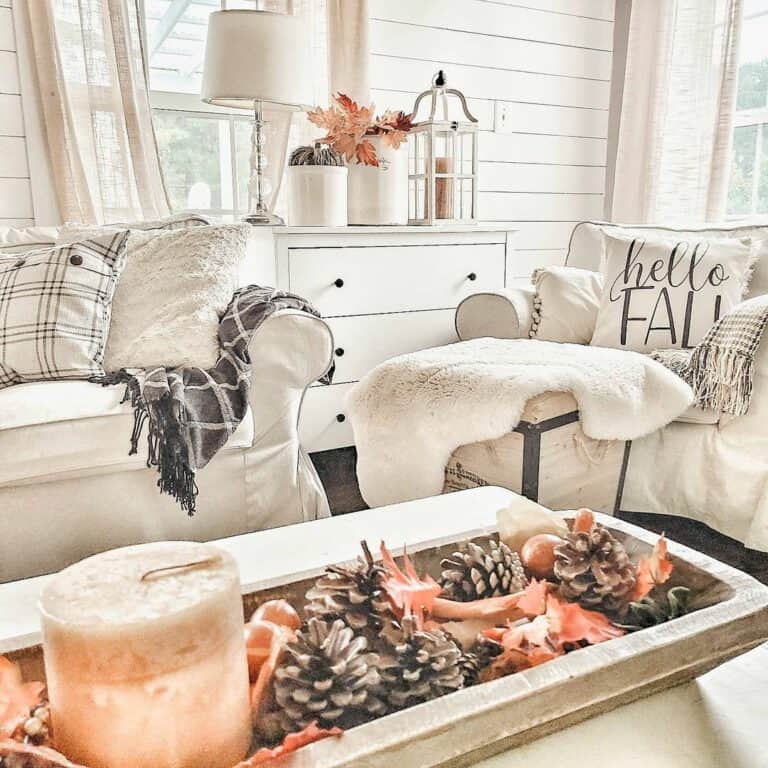 Cottage Fall Living Room Idea