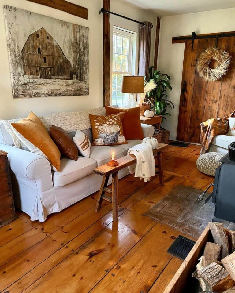 Cozy Farmhouse Living Room Ideas