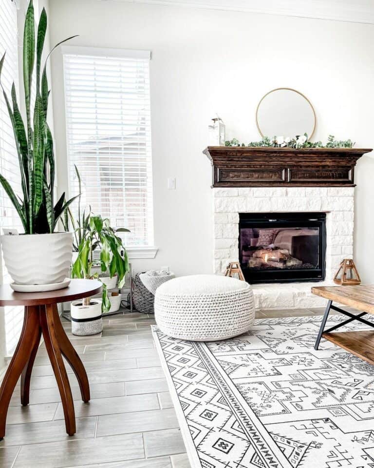 Cozy Fireplace With Vibrant Plants