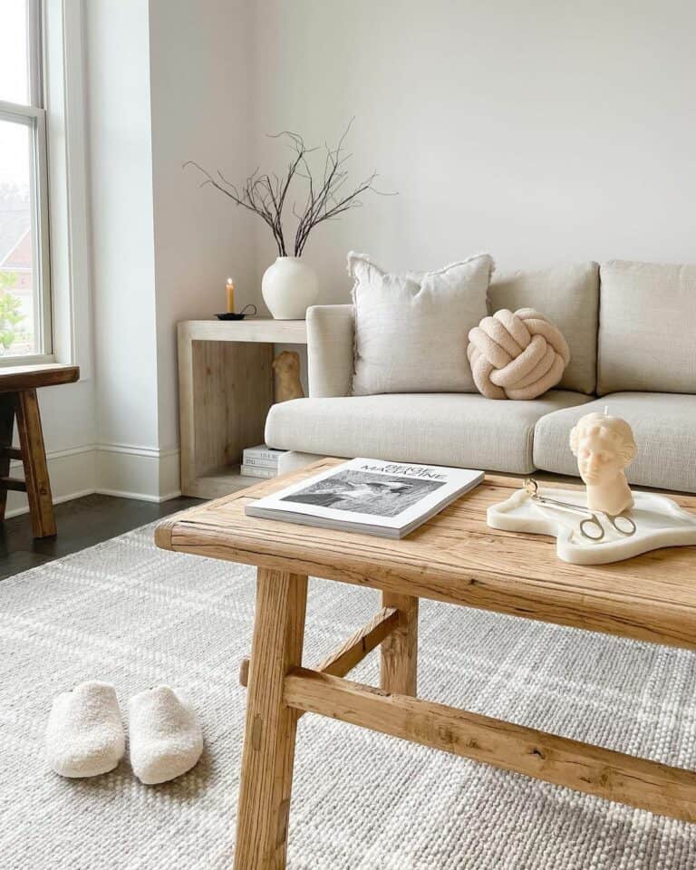 Cozy and Neutral Organic Living Room