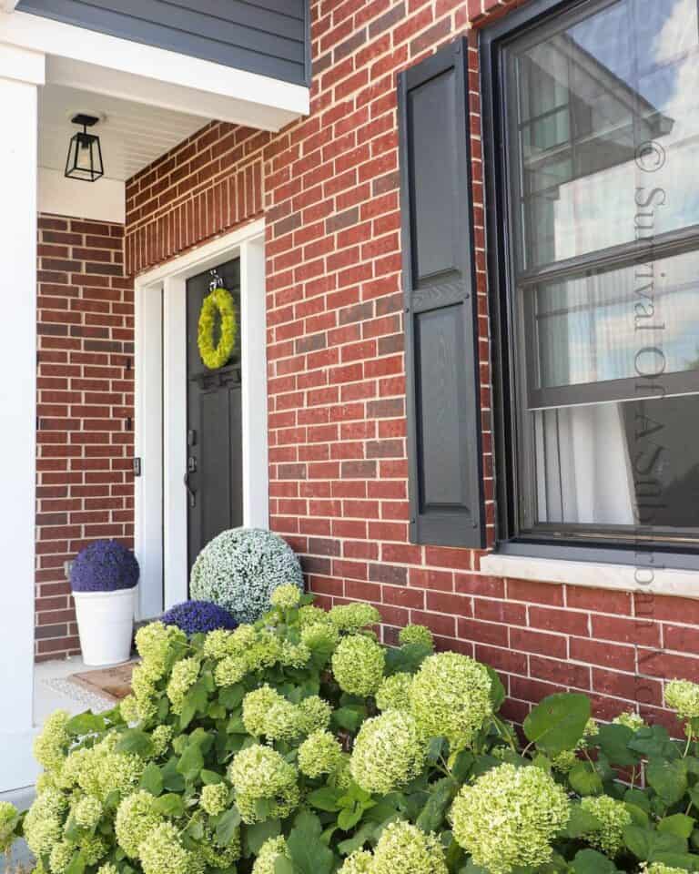 Curb Appeal Inspiration for Summer