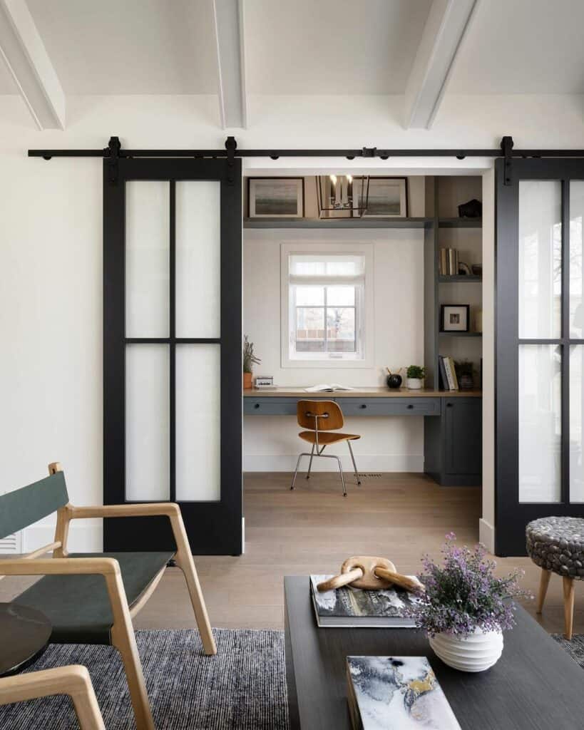 Double Black Barn Doors With Glass