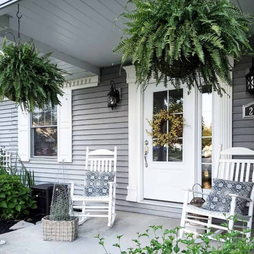 Ferns in Hanging Baskets on Grey Porch