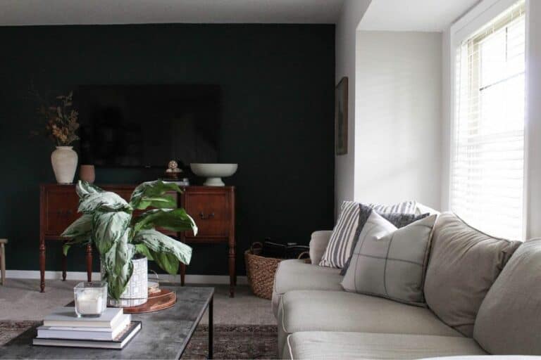 Gray Couch for Black White Living Room