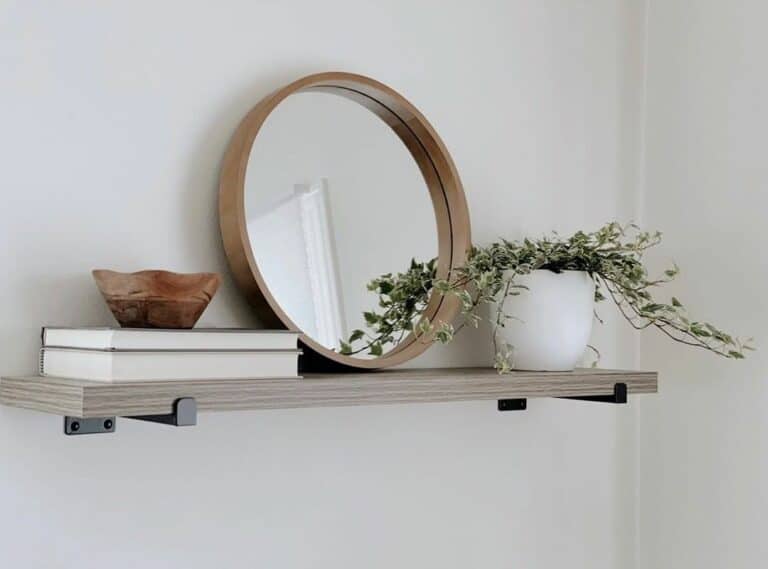 Gray Living Room With Plant Shelf