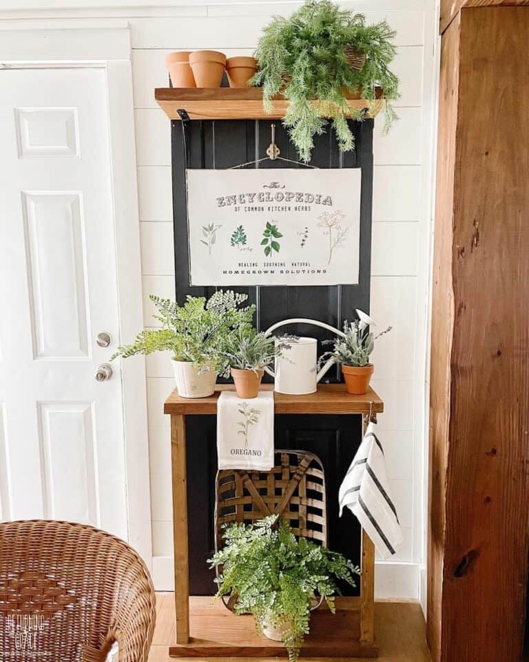 Herb Garden With Beautiful Plant Shelf