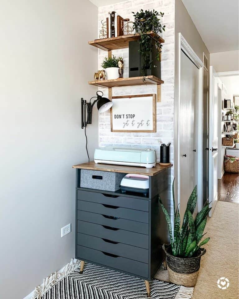 Home Office With Plant Shelf